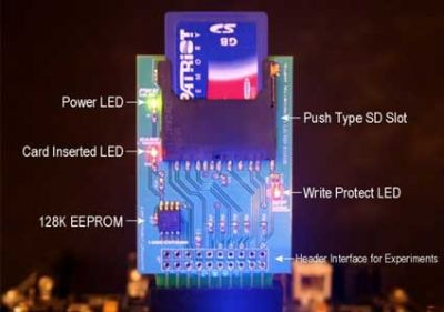 HYDRA™ SD Max Storage Card - 1
